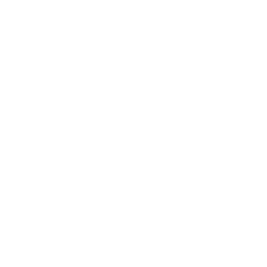 星のアイコン