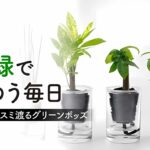 株式会社長沢燃料商事：炭の樹